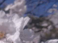 【春】