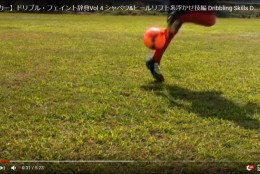 シャペウ系ヒールリフトを一気に公開